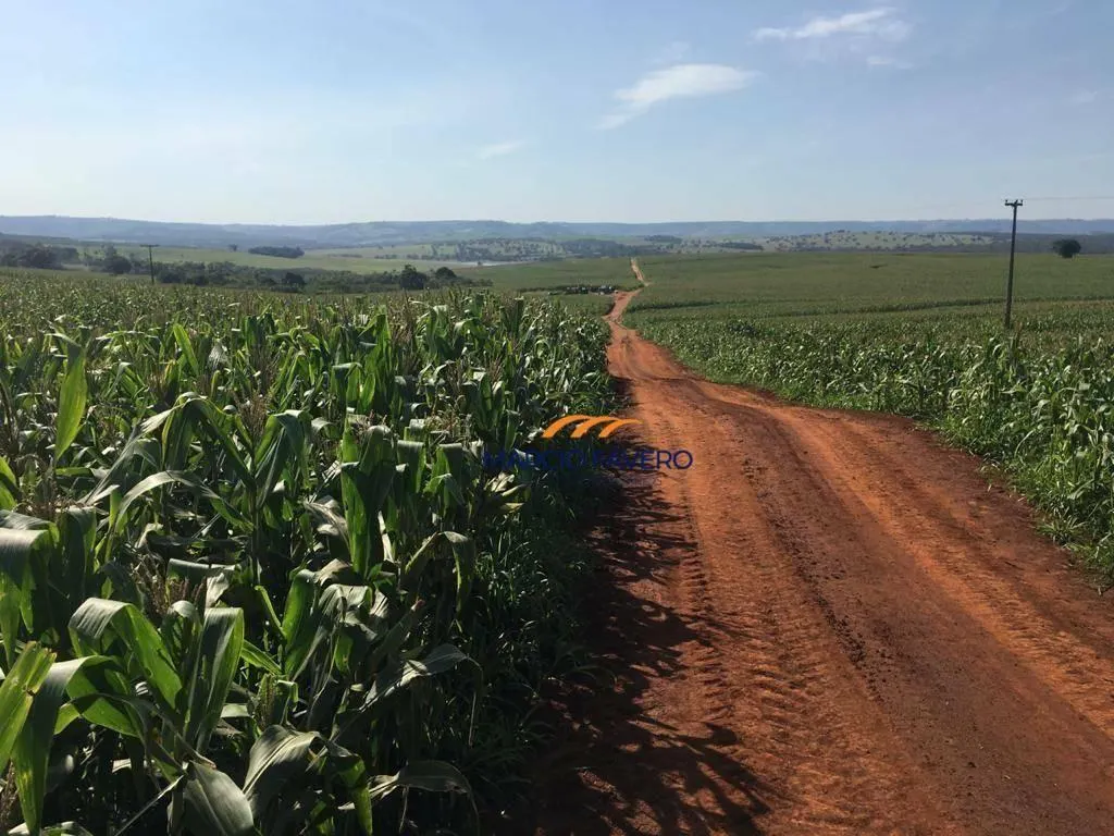 Fazenda à venda de 266 ha em Avaré, SP, Brasil