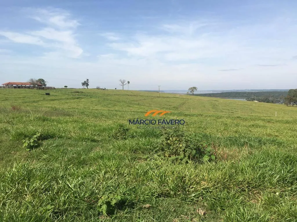 Fazenda à venda de 266 ha em Avaré, SP, Brasil