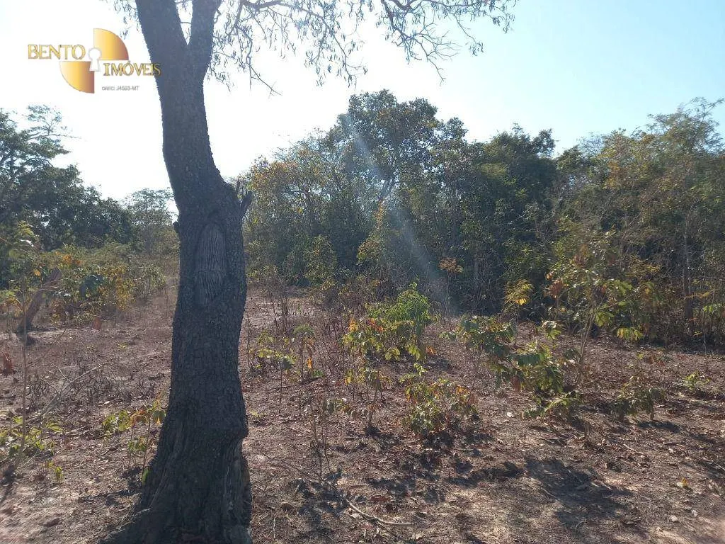 Fazenda à venda de 345 ha em Jangada, MT, Brasil