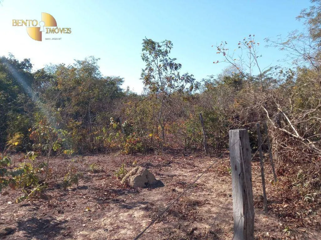 Fazenda à venda de 345 ha em Jangada, MT, Brasil