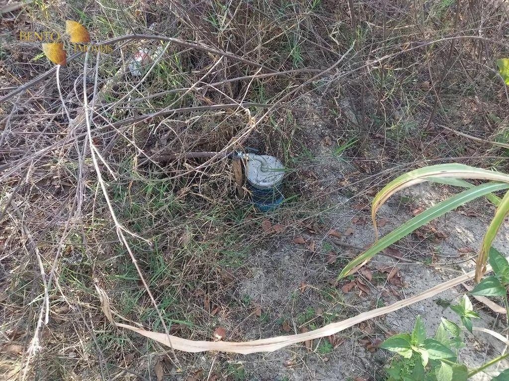 Fazenda à venda de 345 ha em Jangada, MT, Brasil