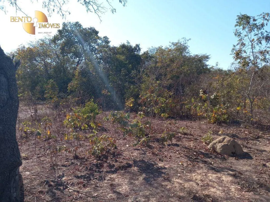Fazenda à venda de 345 ha em Jangada, MT, Brasil