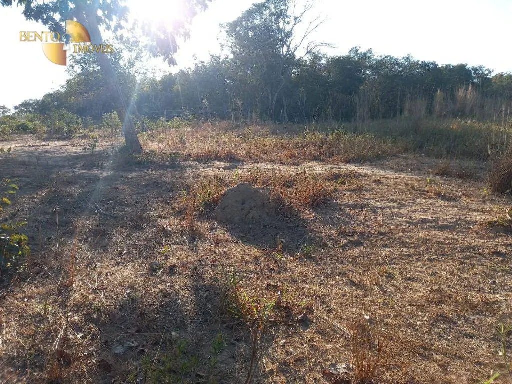 Fazenda à venda de 345 ha em Jangada, MT, Brasil