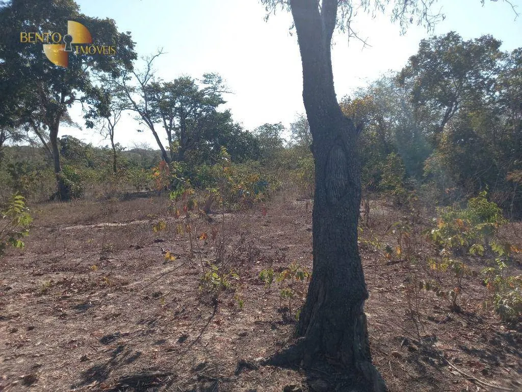 Fazenda à venda de 345 ha em Jangada, MT, Brasil