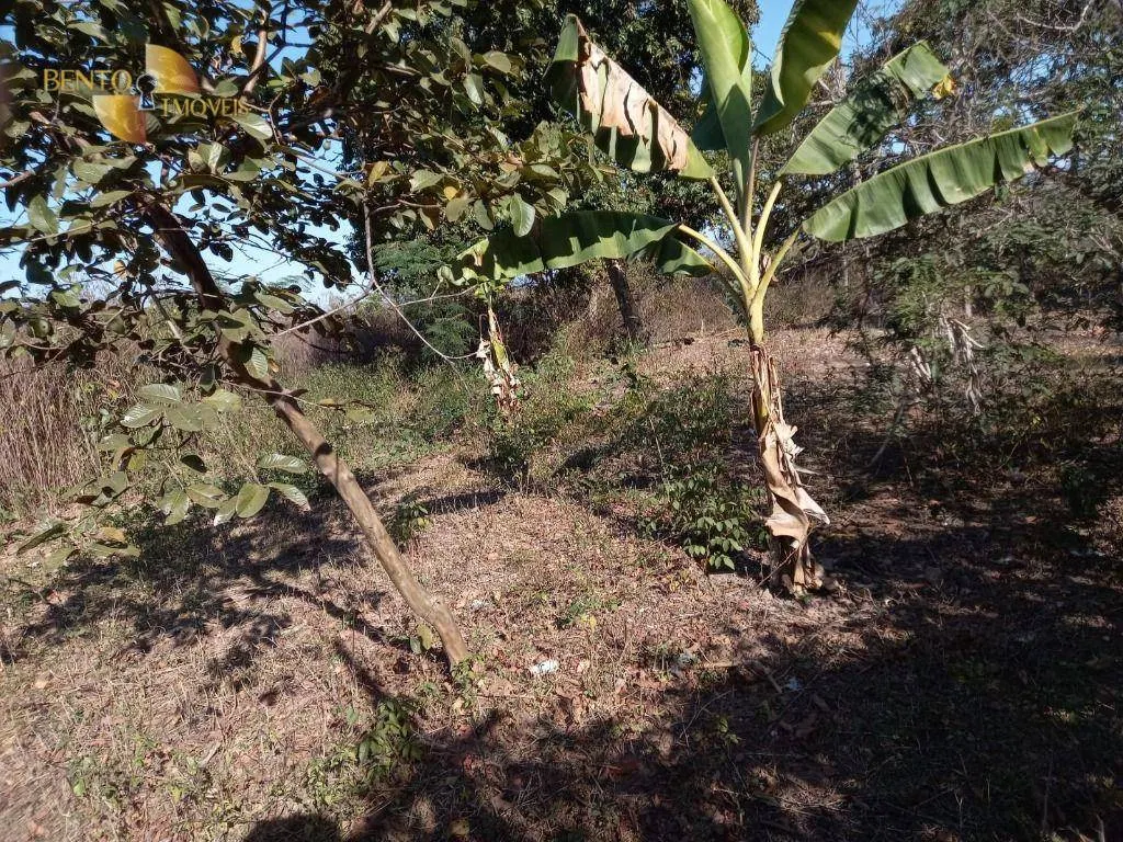 Fazenda à venda de 345 ha em Jangada, MT, Brasil
