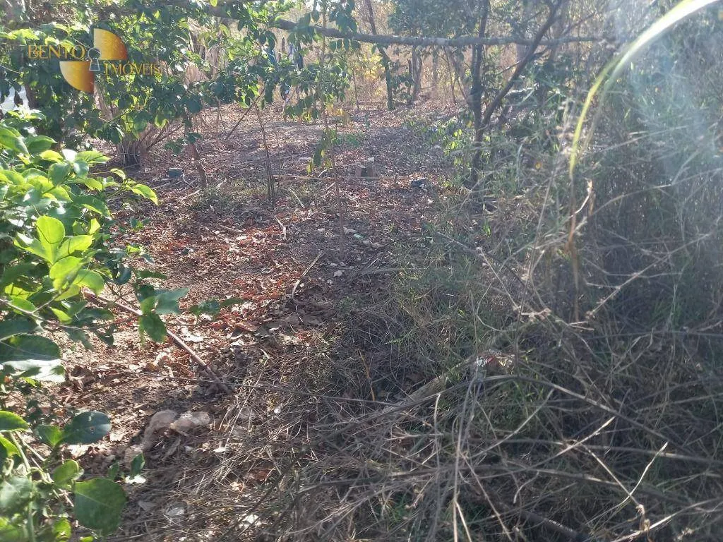 Fazenda à venda de 345 ha em Jangada, MT, Brasil