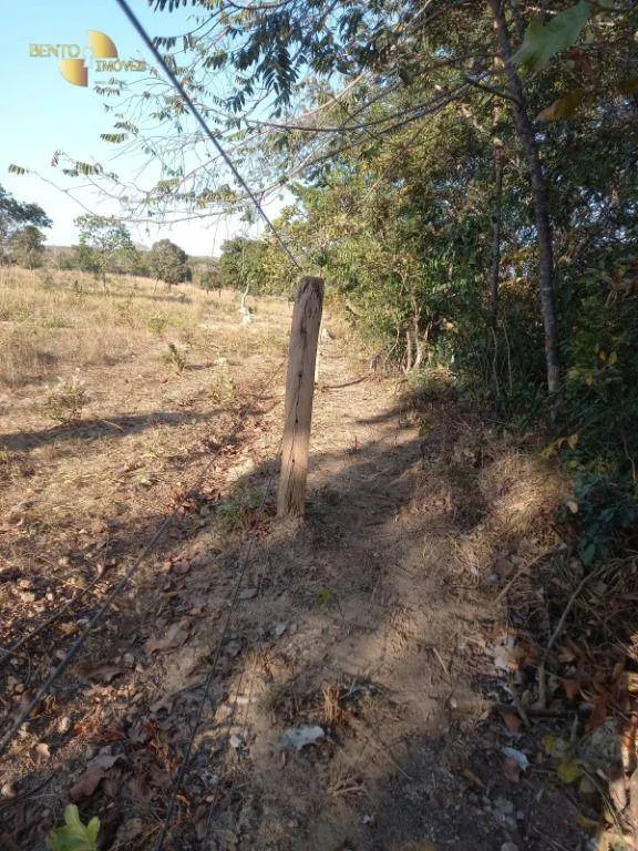 Fazenda à venda de 345 ha em Jangada, MT, Brasil