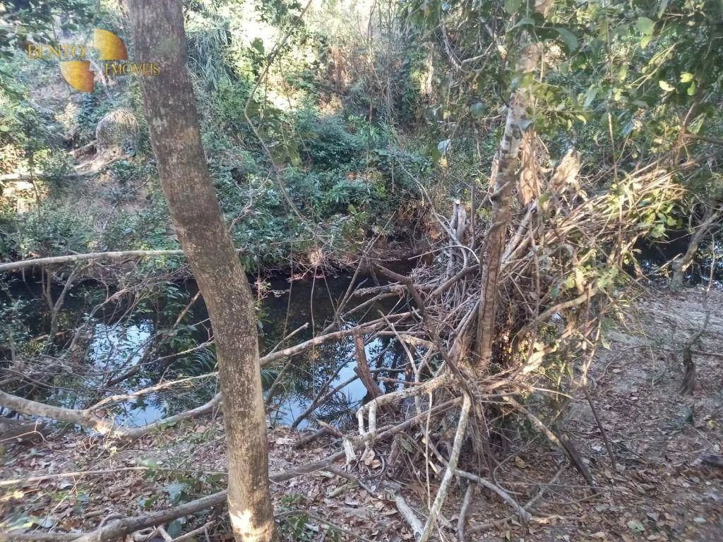 Fazenda à venda de 345 ha em Jangada, MT, Brasil