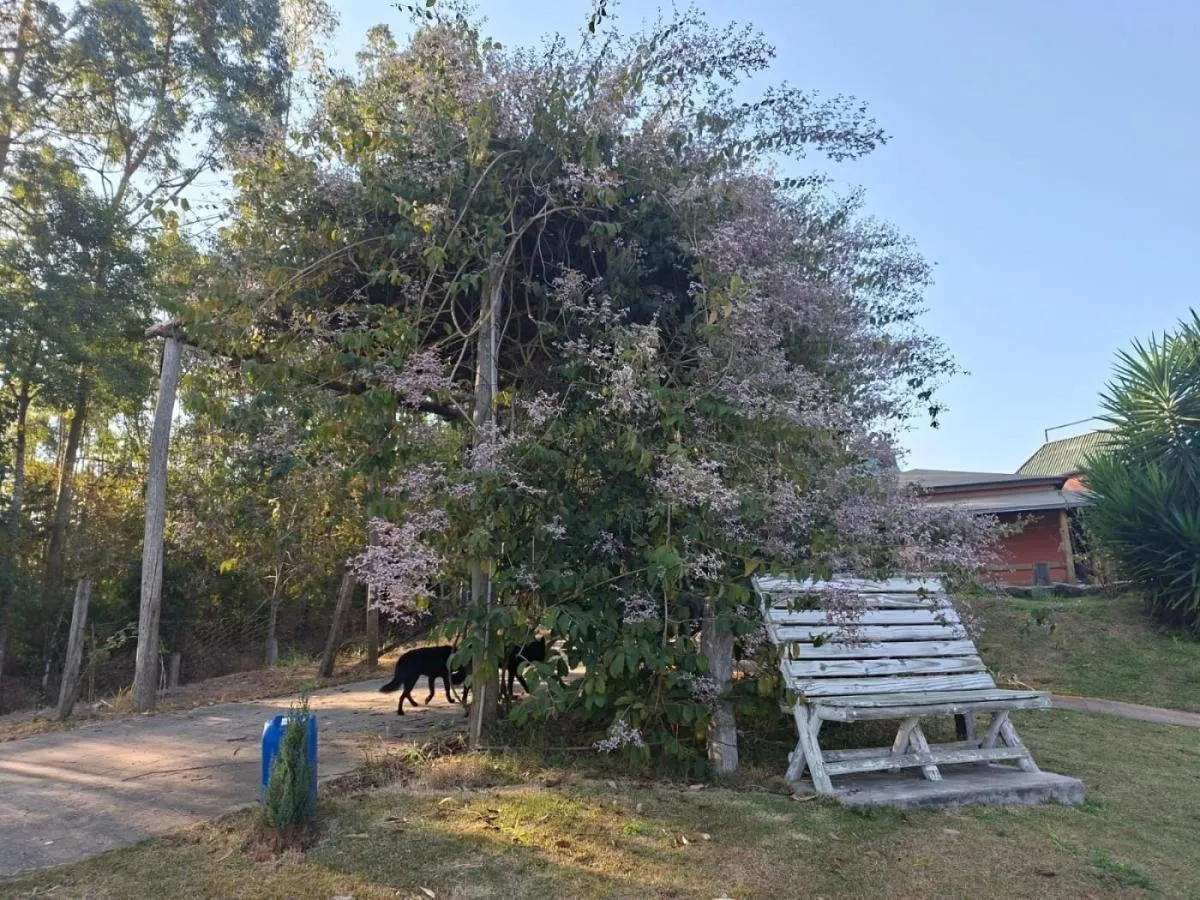 Sítio à venda de 4 ha em Pedra Bela, SP, Brasil