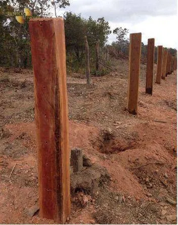 Fazenda à venda de 1.950 ha em Poconé, MT, Brasil