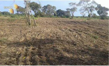 Fazenda à venda de 1.950 ha em Poconé, MT, Brasil