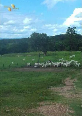 Fazenda à venda de 1.950 ha em Poconé, MT, Brasil