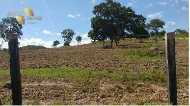 Fazenda à venda de 1.950 ha em Poconé, MT, Brasil