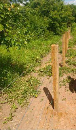 Fazenda à venda de 1.950 ha em Poconé, MT, Brasil