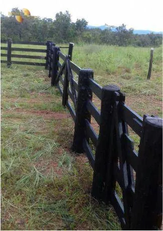 Fazenda à venda de 1.950 ha em Poconé, MT, Brasil