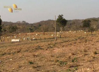 Fazenda à venda de 1.950 ha em Poconé, MT, Brasil