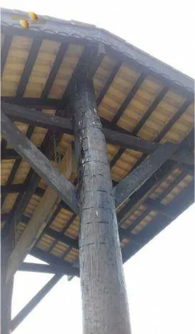 Fazenda à venda de 1.950 ha em Poconé, MT, Brasil