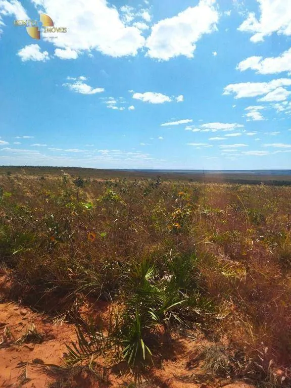 Fazenda à venda de 28.000 ha em Tangará da Serra, MT, Brasil