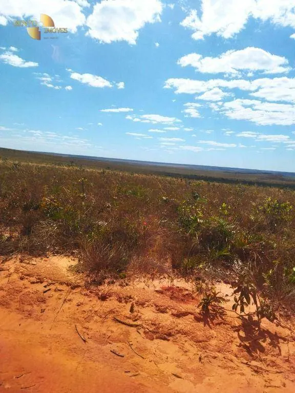 Fazenda à venda de 28.000 ha em Tangará da Serra, MT, Brasil