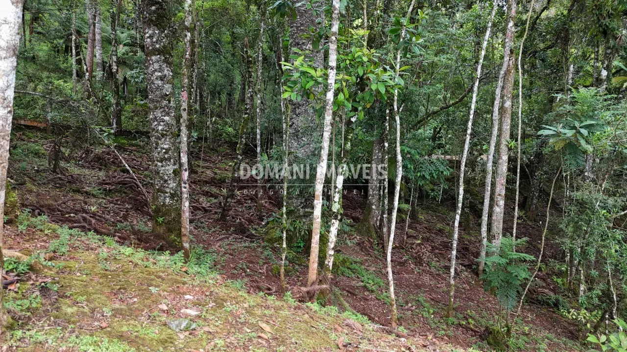 Casa à venda de 1.760 m² em Campos do Jordão, SP, Brasil