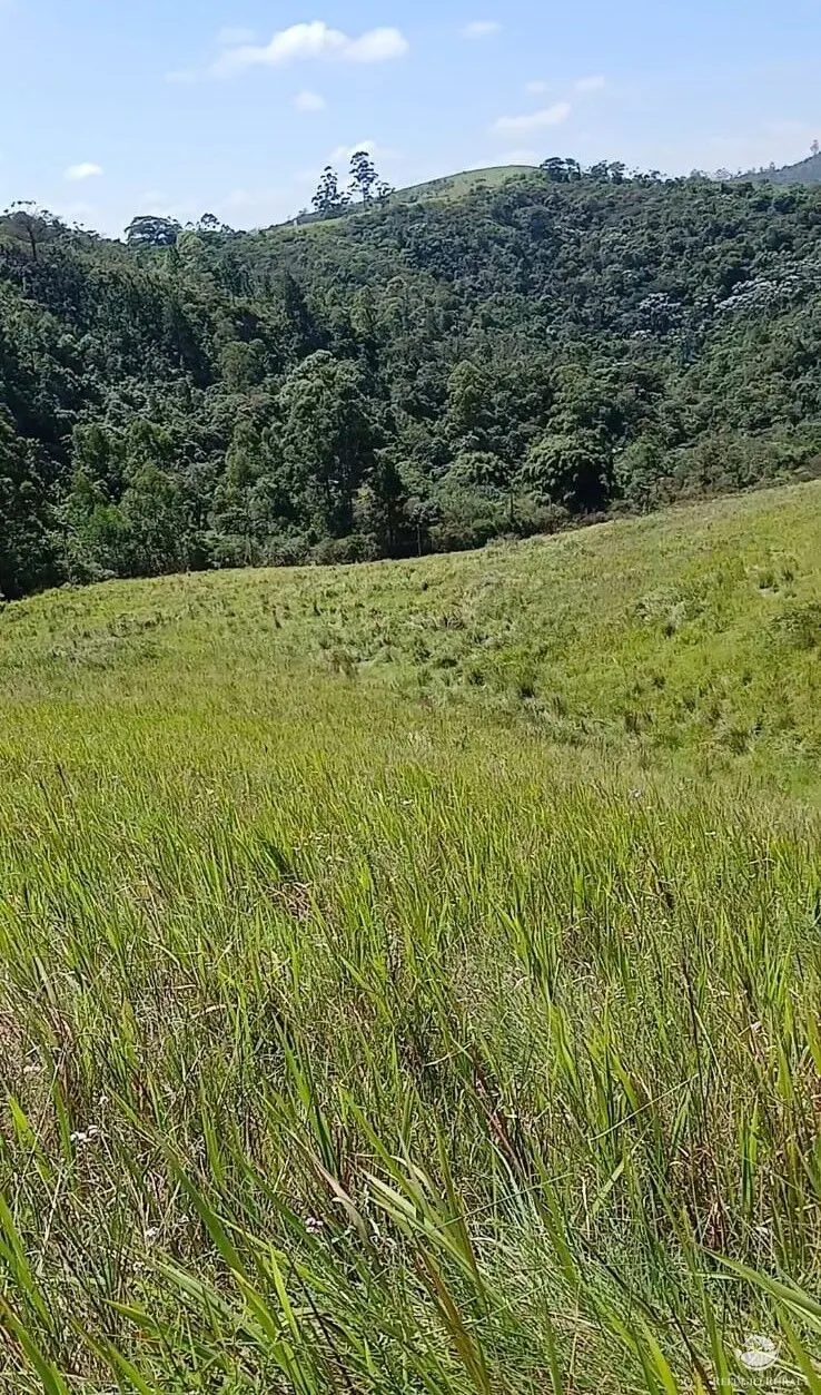 Terreno à venda de 2 ha em Igaratá, SP, Brasil