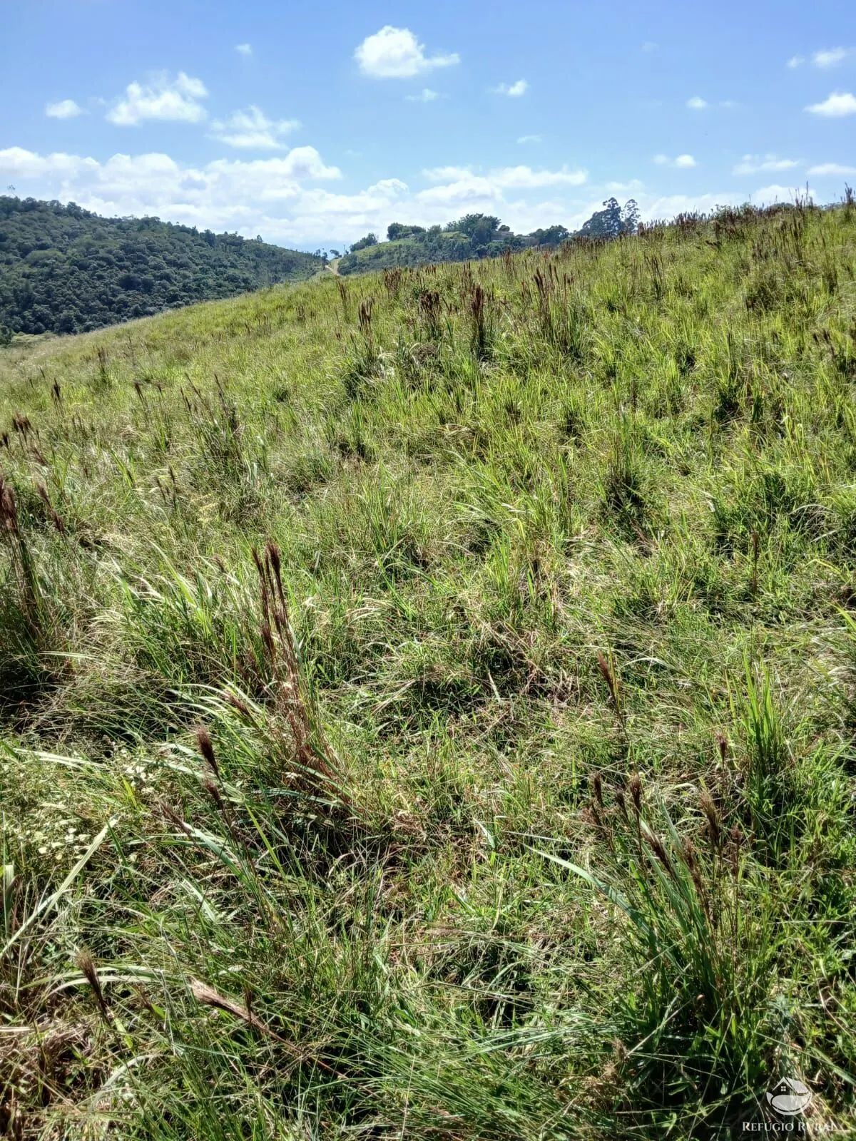 Terreno à venda de 2 ha em Igaratá, SP, Brasil