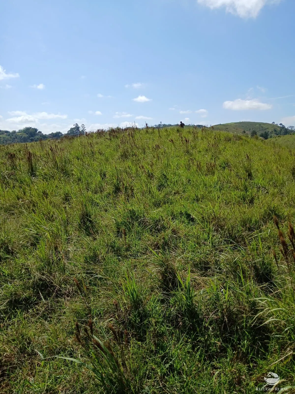 Terreno à venda de 2 ha em Igaratá, SP, Brasil