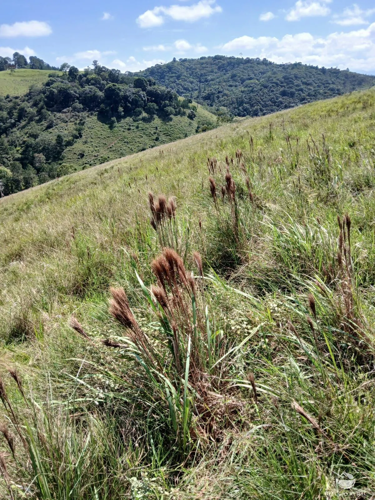 Terreno à venda de 2 ha em Igaratá, SP, Brasil