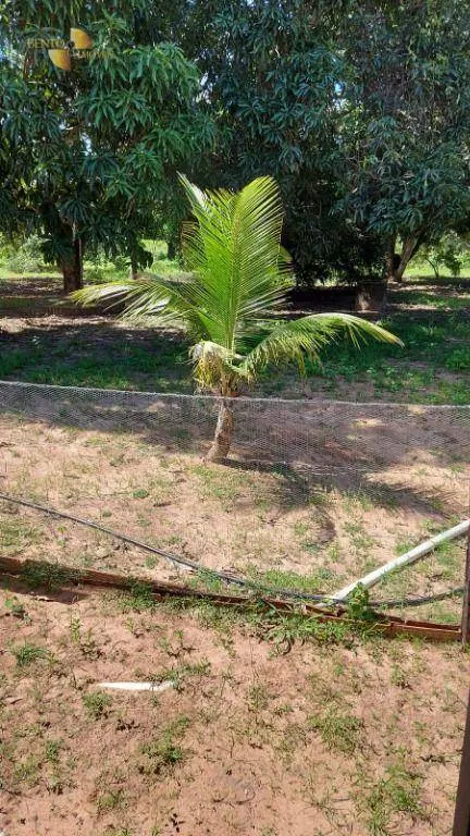 Fazenda à venda de 893 ha em Tesouro, MT, Brasil