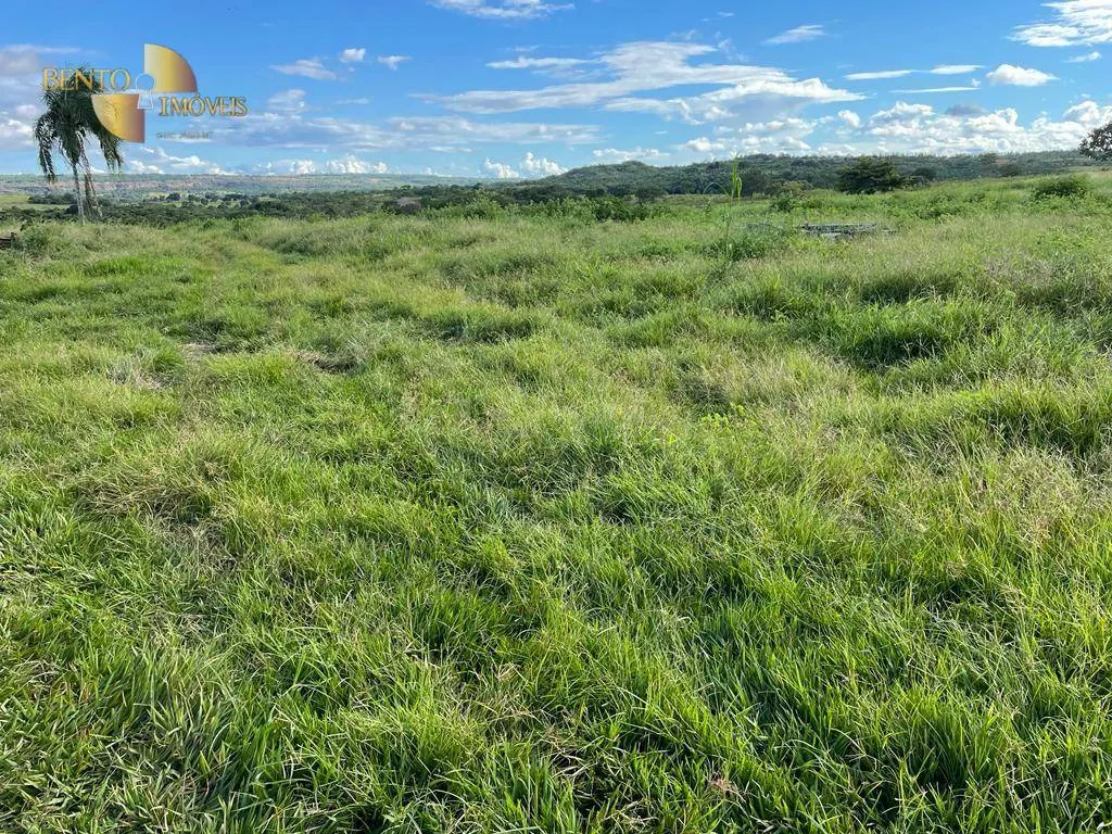 Fazenda à venda de 893 ha em Tesouro, MT, Brasil
