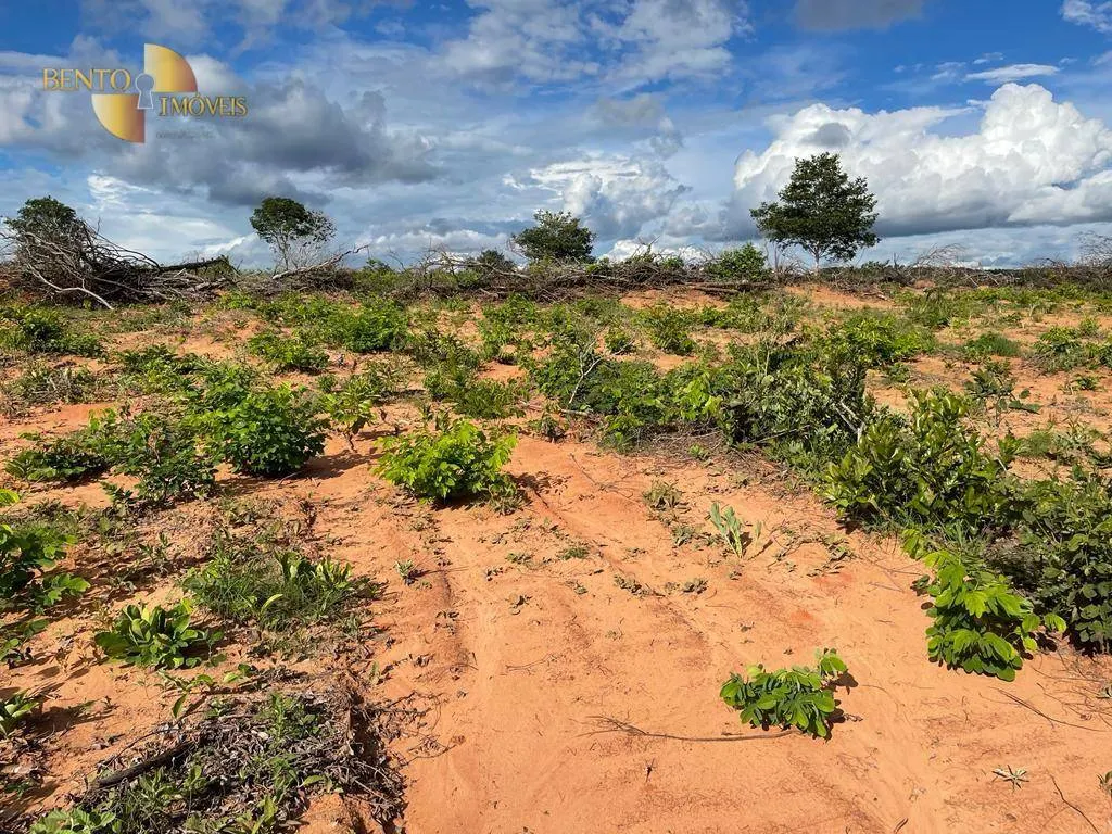 Fazenda à venda de 893 ha em Tesouro, MT, Brasil