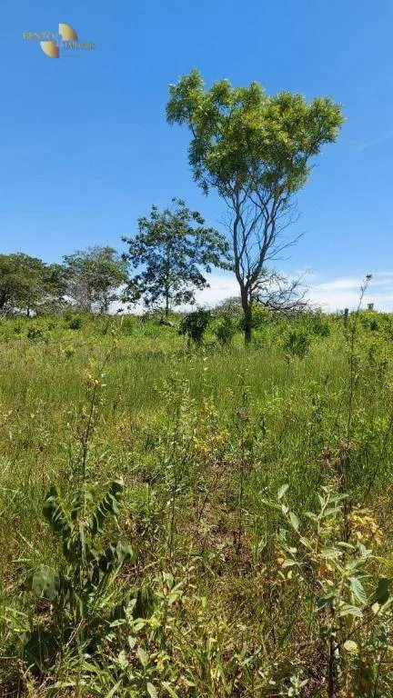 Fazenda à venda de 893 ha em Tesouro, MT, Brasil