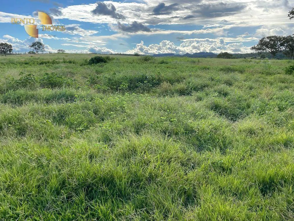 Fazenda à venda de 893 ha em Tesouro, MT, Brasil
