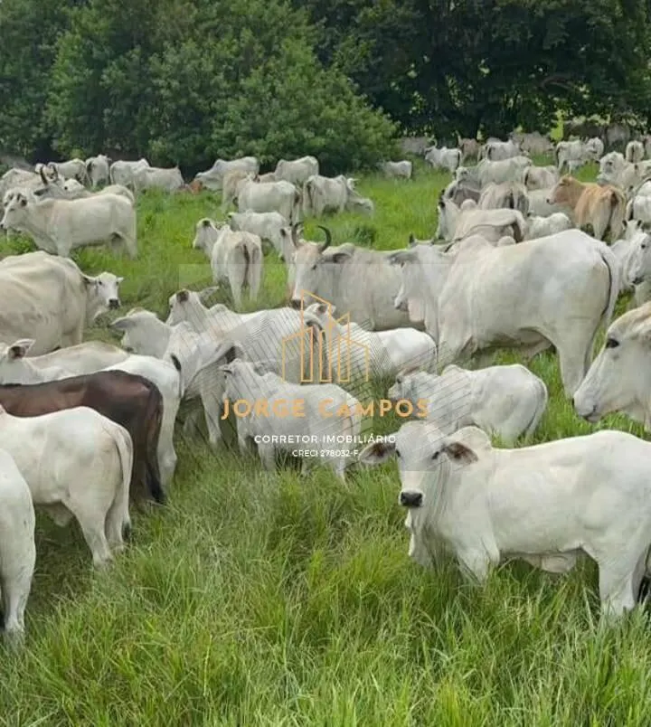 Fazenda à venda de 107 ha em Lorena, SP, Brasil