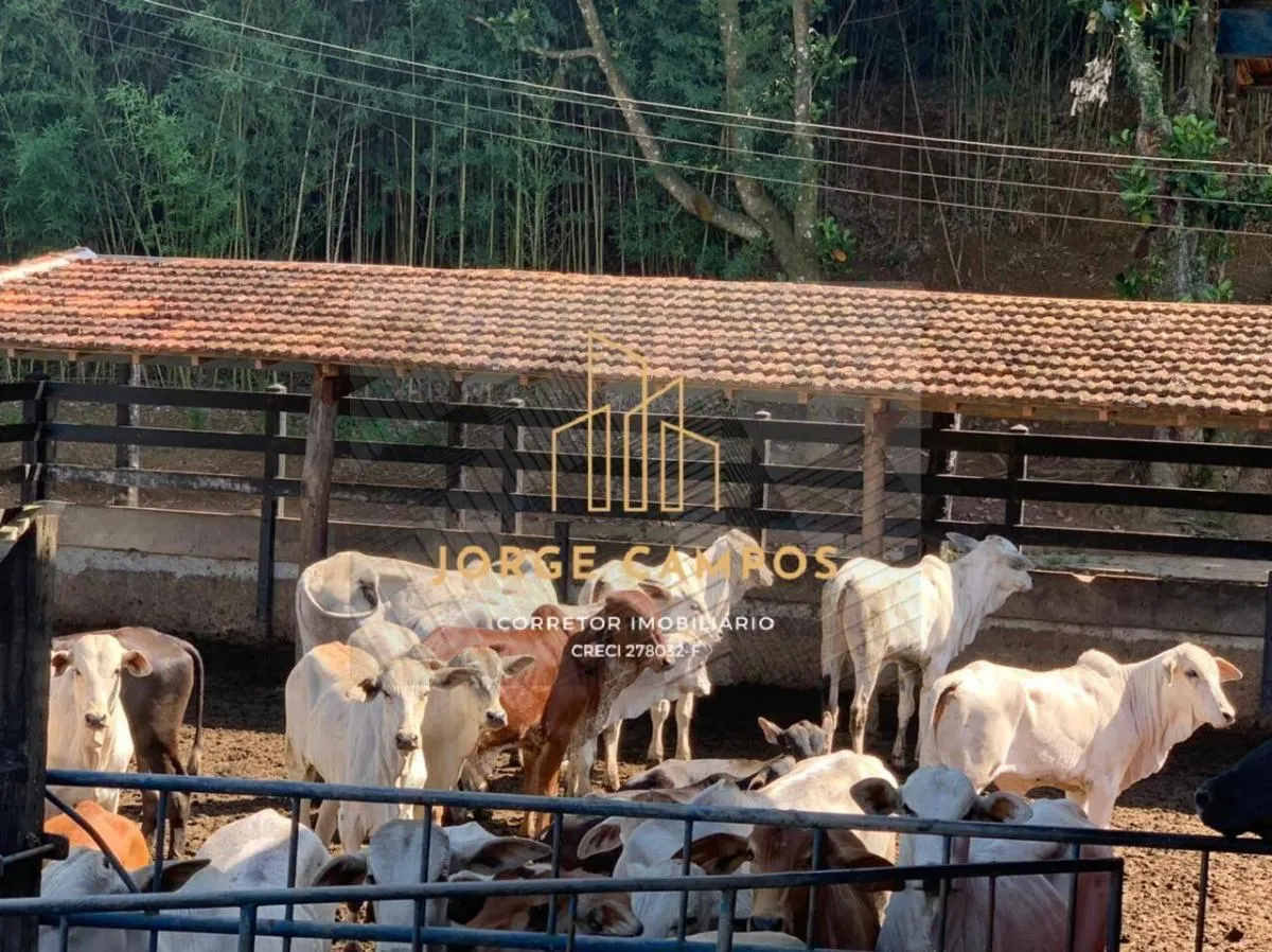 Fazenda à venda de 107 ha em Lorena, SP, Brasil