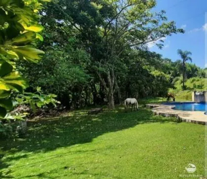 Small farm for sale of 30 acres in São José dos Campos, SP, Brazil