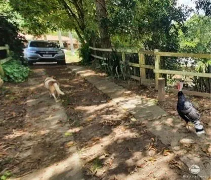 Small farm for sale of 30 acres in São José dos Campos, SP, Brazil