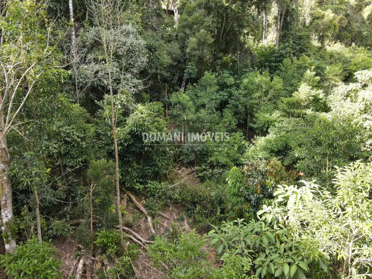 Terreno à venda de 2.050 m² em Campos do Jordão, SP, Brasil