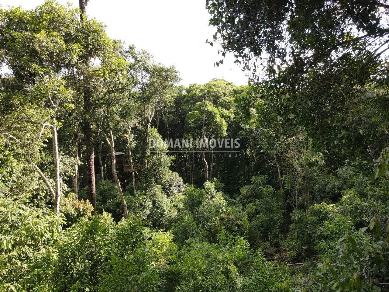Terreno à venda de 2.050 m² em Campos do Jordão, SP, Brasil