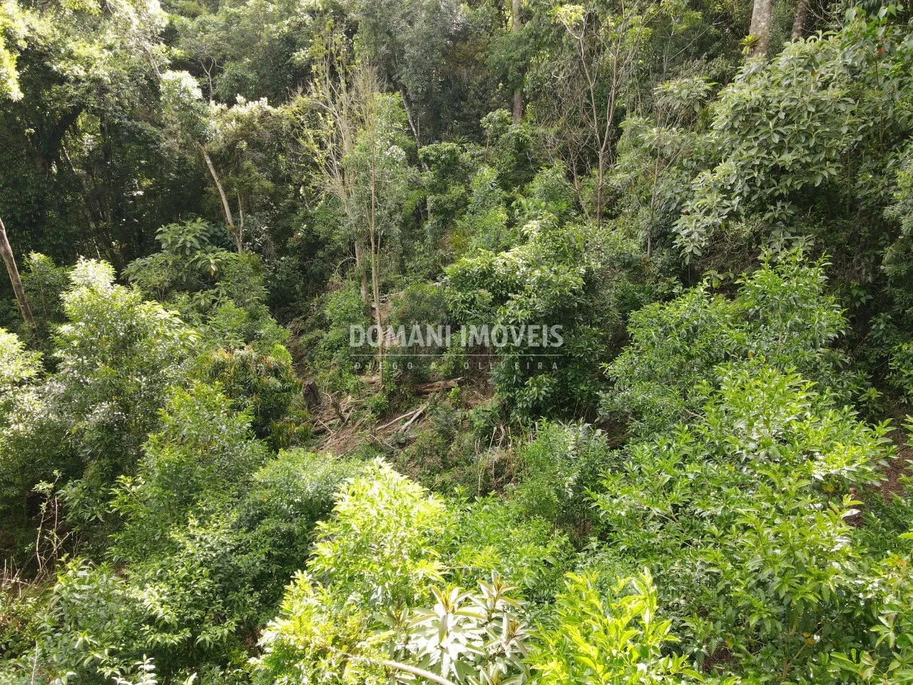 Terreno à venda de 2.050 m² em Campos do Jordão, SP, Brasil