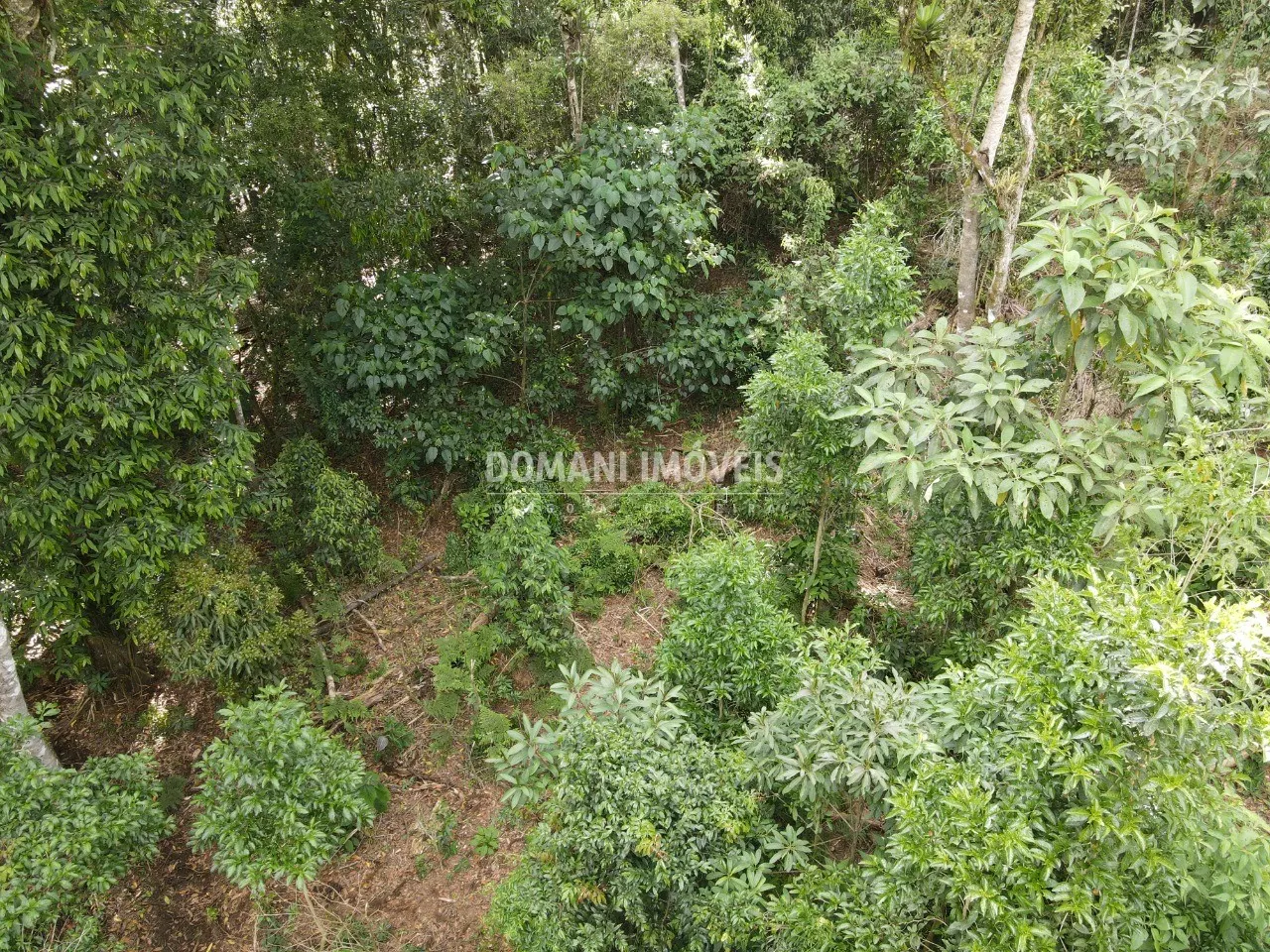 Terreno à venda de 2.050 m² em Campos do Jordão, SP, Brasil