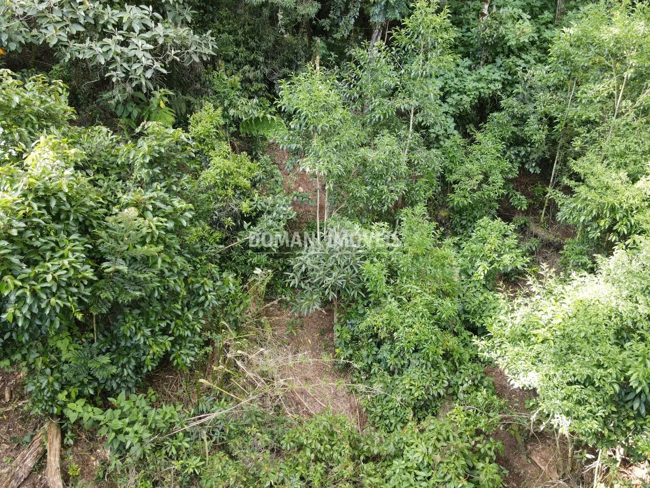 Terreno à venda de 2.050 m² em Campos do Jordão, SP, Brasil