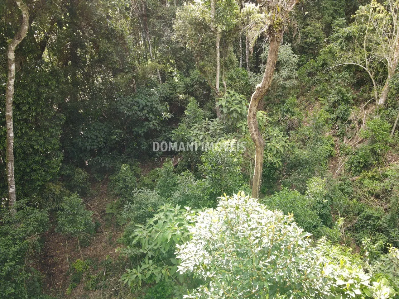 Terreno à venda de 2.050 m² em Campos do Jordão, SP, Brasil