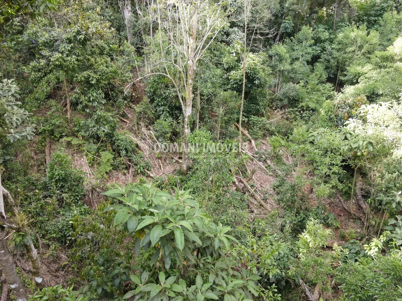 Terreno à venda de 2.050 m² em Campos do Jordão, SP, Brasil