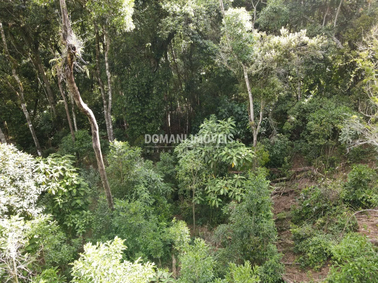 Terreno à venda de 2.050 m² em Campos do Jordão, SP, Brasil