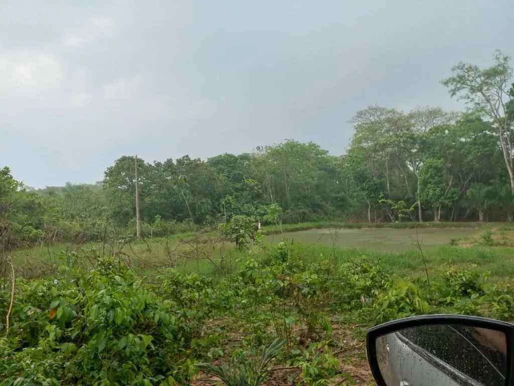 Chácara à venda de 2 ha em Rosário Oeste, MT, Brasil