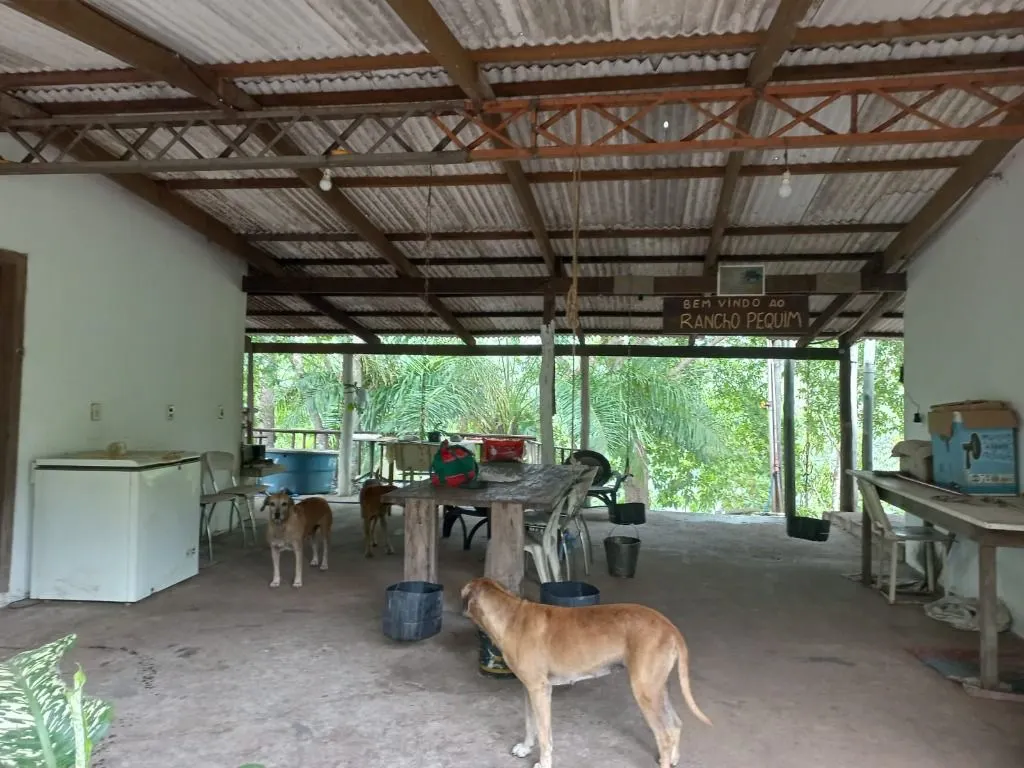 Chácara à venda de 2 ha em Rosário Oeste, MT, Brasil