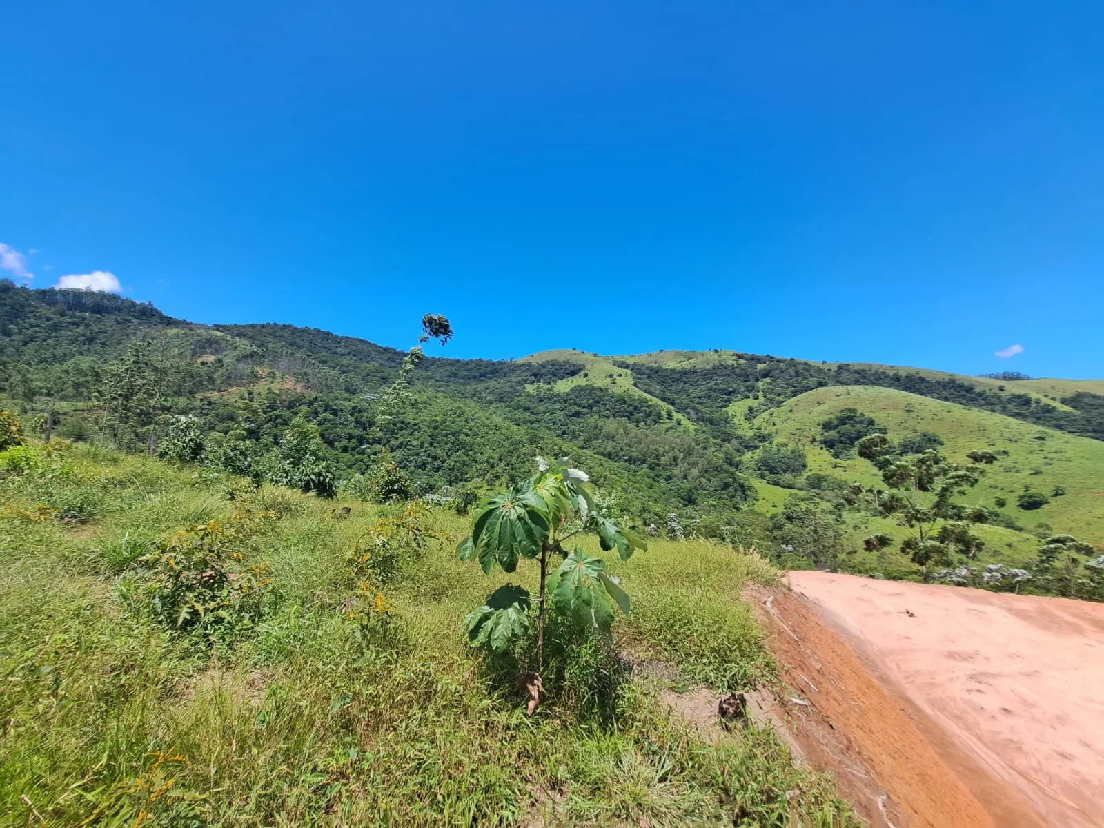 Plot for sale of 8 acres in Monteiro Lobato, SP, Brazil