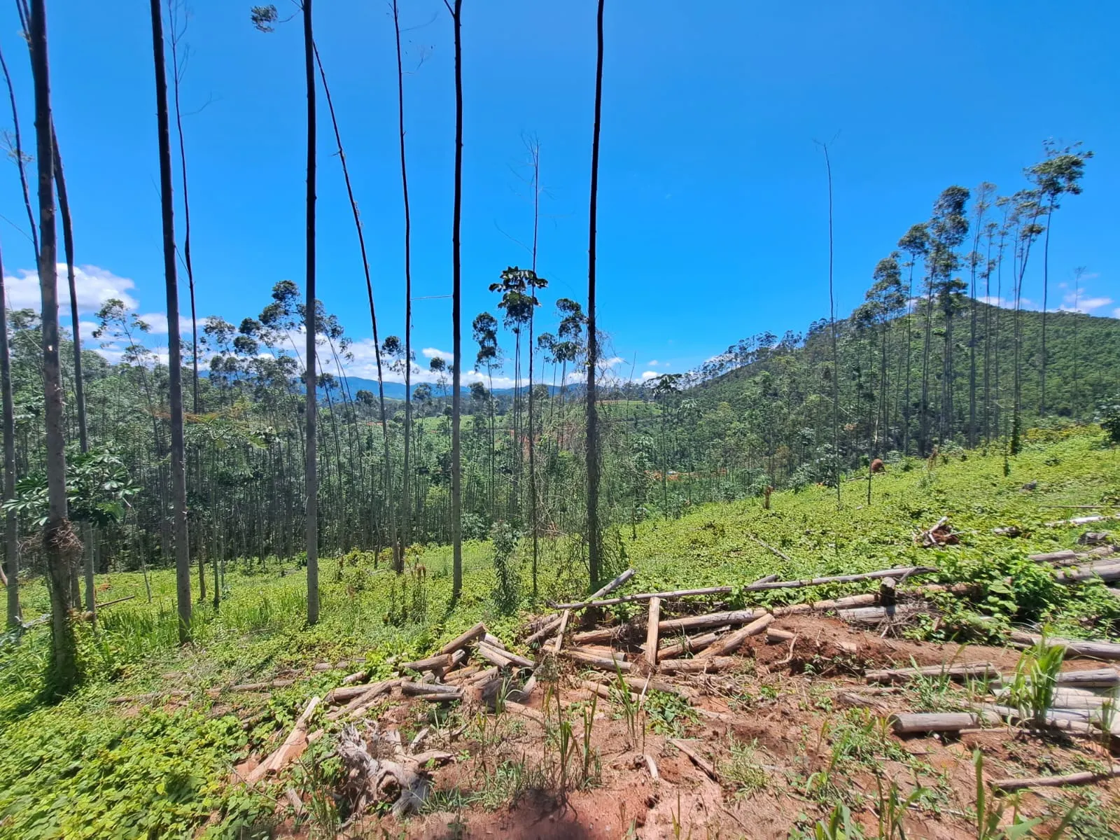 Plot for sale of 8 acres in Monteiro Lobato, SP, Brazil