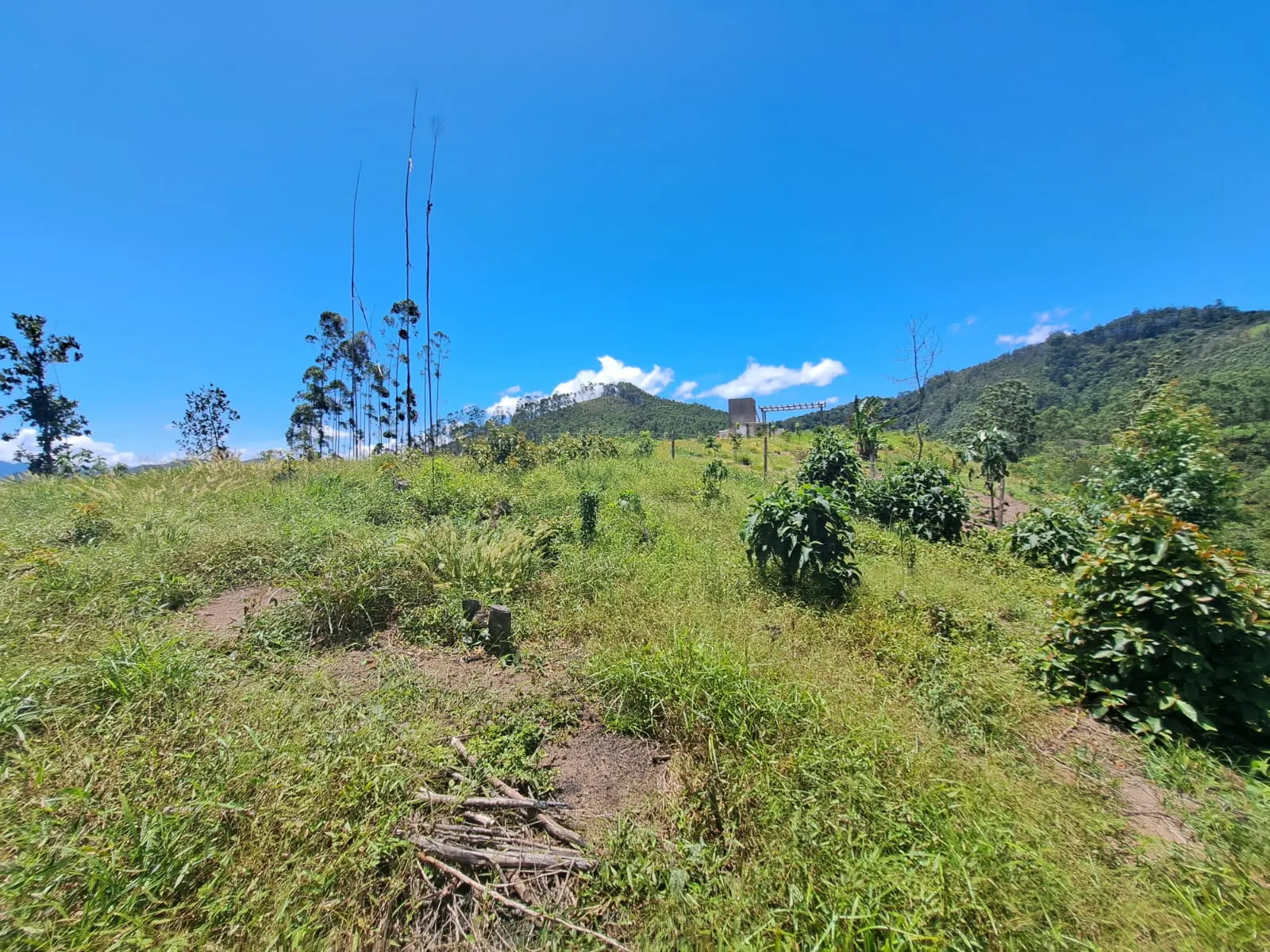 Plot for sale of 8 acres in Monteiro Lobato, SP, Brazil